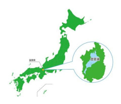 【悲報】大阪「かすうどん」京都「ぶぶ漬け」兵庫「損保の糸」和歌山「カレー」奈良「鹿」