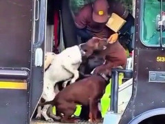 宅配ドライバーを犬が全力で出迎える防犯カメラ集、和む人と「頼むから繋いでおけ」で割れる【海外の反応】