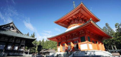 【悲報】和歌山県とかいうすでに忘れられてた県