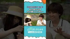 日向坂式恋愛リアリティーショー公開中 #shorts #日向坂46 #日向坂ちゃんねる