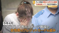 クレカ窃盗慶應女子大生（22）の父は大手クレカ海外法人の「最高経営責任者」だったｗｗｗｗｗｗ