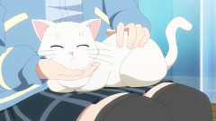 犬や猫飼ったらめっちゃ甘やかしそうなラブライブ！キャラ