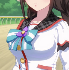 【ウマ娘】君のパ…走りを見て一目惚れした！スカウトさせてくれ！