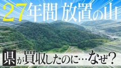【愛知】なぜ?55億円で買った山を27年間放置 使い道に愛知県は“お手上げ” 「何でもいいから案を頂きたい」