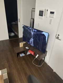 地震のせいでテレビ壊れたんやが