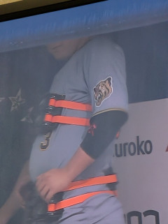 阪神・大山、なんか怪しい拘束具をベンチで装着wwwwwwwwwwwww