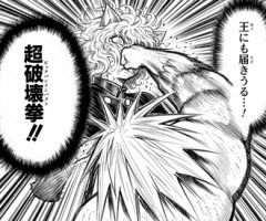 【ハンターハンター】王にも届きうる