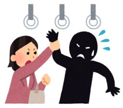 高校の同級生が毎朝同じ男からチカンされていた。ある朝、チカンが彼女に触ると突然周りの人達がチカンを抑えつけ、写真を撮るやら罵るやらが始まった