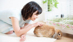 【悲報】一人暮らしでペット飼ってる奴おるか？
