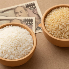 「新米2000円台」去年のコメより新米が安い“逆転現象”   #コメ |  5キロもいらん。2キロ1000円で売ってよ
