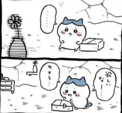 ハチワレ洞窟暮らししんどくないのかな？