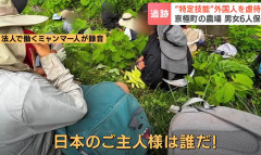 「日本のご主人様は誰だ！」　北海道「除草道具で殴られた」　特定技能1号のミャンマー人男性、「社長」を告訴へ　京極町の農業法人（動画あり）