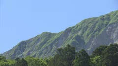 【鳥取】「眼鏡が木の枝にあたって割れて、視界が悪く下山できない」救助に向かうも発見できず…