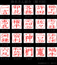 珍姓が原因でずっとからかわれてきた。兄も姉も結婚して姓を変えた。しかし…….　 →  親父「お前くらいは苗字を残してくれないか？」俺「親父はこの苗字で苦労したことがないのか？」