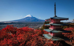 海外「日本旅行を富士フィルムのカメラで撮ってきた！」日本と日本のカメラのコラボに対する海外の反応