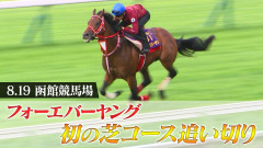 【小ネタ・画像】フォーエバーヤング芝の追い切り映像　他ウマ娘・競馬小ネタまとめ