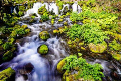 【悲報】中国人さんに土地や水源を買われてる・・・・・・・・・
