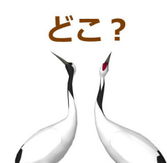 筋トレを始めたからプロテインを買う予定だけど、マッチョはどこで買っているの？
