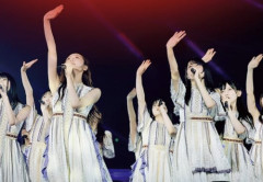 【悲報】警報雨天の神宮、『ライブ中止』一択だった模様