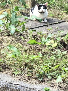 俺が「アトピーなんて関係ない。幸せにする＾＾」と言って交際開始したものの、身体の至るところがじゅくじゅくしてて気持ち悪いからやっぱ別れたい・・・。振ったら恨まれるかな？