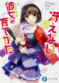 【悲報】「いや、負けヒロインの方がぶっちゃけ可愛いだろ」って作品ｗｗｗ