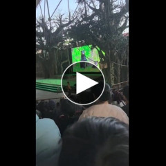 【衝撃】クマさん、突然キレるｗｗｗｗｗｗｗｗｗｗ