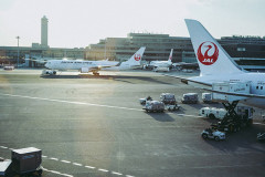 【航空】JAL「マイル修行」は一生涯　ガスや自社株、上級会員へ暮らし丸ごと
