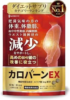 デブからダイエットで普通体型になったやつ、方法を教えて