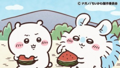 【ちいかわ】これを見ろ