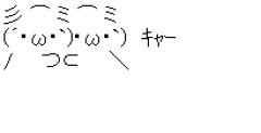 日傘大活躍や 今年は去年の夏より抜け毛が少ない