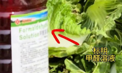 韓国産キムチが中国産白菜で汚染され終わる　発がん性物質ホルムアルデヒドを大量使用