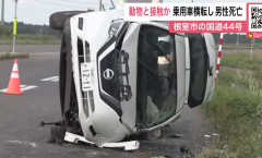 走行中の車がヒグマらしきものに弾かれて横転、運転していた男性亡くなる　巨大ヒグマか　北海道根室市（動画あり）
