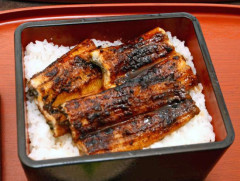 【歓喜】人工ウナギの初試食！「臭みゼロ、ふんわりウマすぎ！」完全養殖に成功wwwww