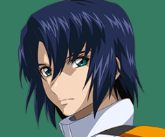 【ガンダムSEED】程々の強さ
