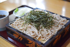 太ってる奴、今すぐ”蕎麦”を食え