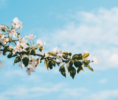妊娠したけど子供の父親の可能性は旦那とウワキ相手のどっちが高い？　もしも旦那の子供だったら絶対に産みたい　→　結果は………