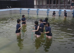 【悲報】JKさん、クッソ汚いプールをスク水で掃除させられてしまう
