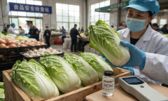韓国人「新鮮さを保つために中国で1級発がん物質のホルムアルデヒドを白菜に直接塗布していた事が判明！」→「ショッキングな手口に言葉を失う‥（ﾌﾞﾙﾌﾞﾙ」