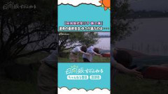 日向坂式恋愛リアリティーショー公開中 #shorts #日向坂46 #日向坂ちゃんねる