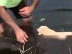 かわいい子たちが順番を待っていた。次はキミの番だ♪ → 人気の水泳教室はこちらです…