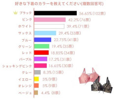 【画像】男受けナンバーワンの下着、ついに決定するｗｗｗｗｗｗｗｗｗｗｗ