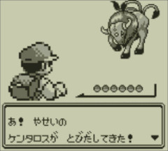 初代ポケモンのVCでケンタロスを捕獲しようと粘りはじめて