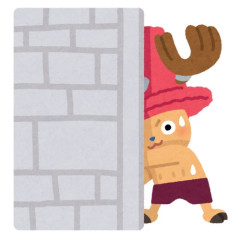 ワンピース読むのどこで止めた？