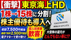 【衝撃】東京海上HD、株主にとんでもない発表をしてしまうｗｗｗｗｗ