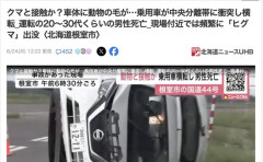 【北海道】ヒグマと衝突か　走行中の車が横転し運転していた男性死亡
