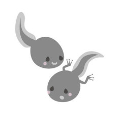 【画像】オタマジャクシ捕まえたｗｗｗｗｗｗｗｗｗｗｗｗｗｗｗｗ