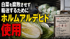 白菜を腐敗させずに輸送するためにホルムアルデヒド使用の「インターネット上の告発動画」止めれず、ついに中国政府が特別検査指示