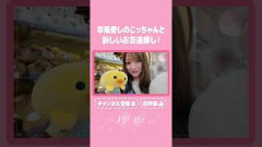 【⬆️本編はコチラ⬆️】愛しのこっちゃんのお友達探し！【ダイジェスト 】#shorts #櫻坂チャンネル