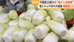 中国産白菜に発がん性物質「ホルムアルデヒド」“薬品漬け”動画拡散で発覚　日本への影響は…厚労省は「確認中」（動画あり）