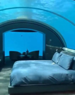 【動画】夜の海中ホテル怖すぎwワイ、デカい魚影で発狂寸前wwwwwwww